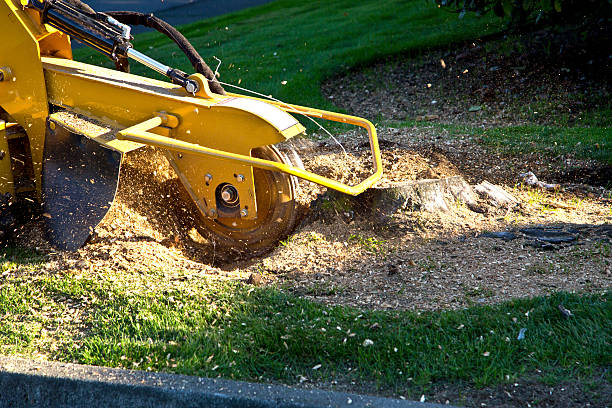 Best Utility Line Clearance  in Mobile, AL