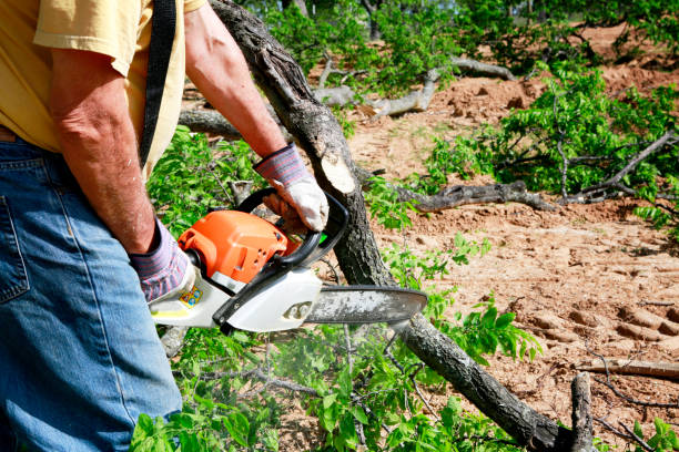 Best Lawn Irrigation Installation and Maintenance  in Mobile, AL